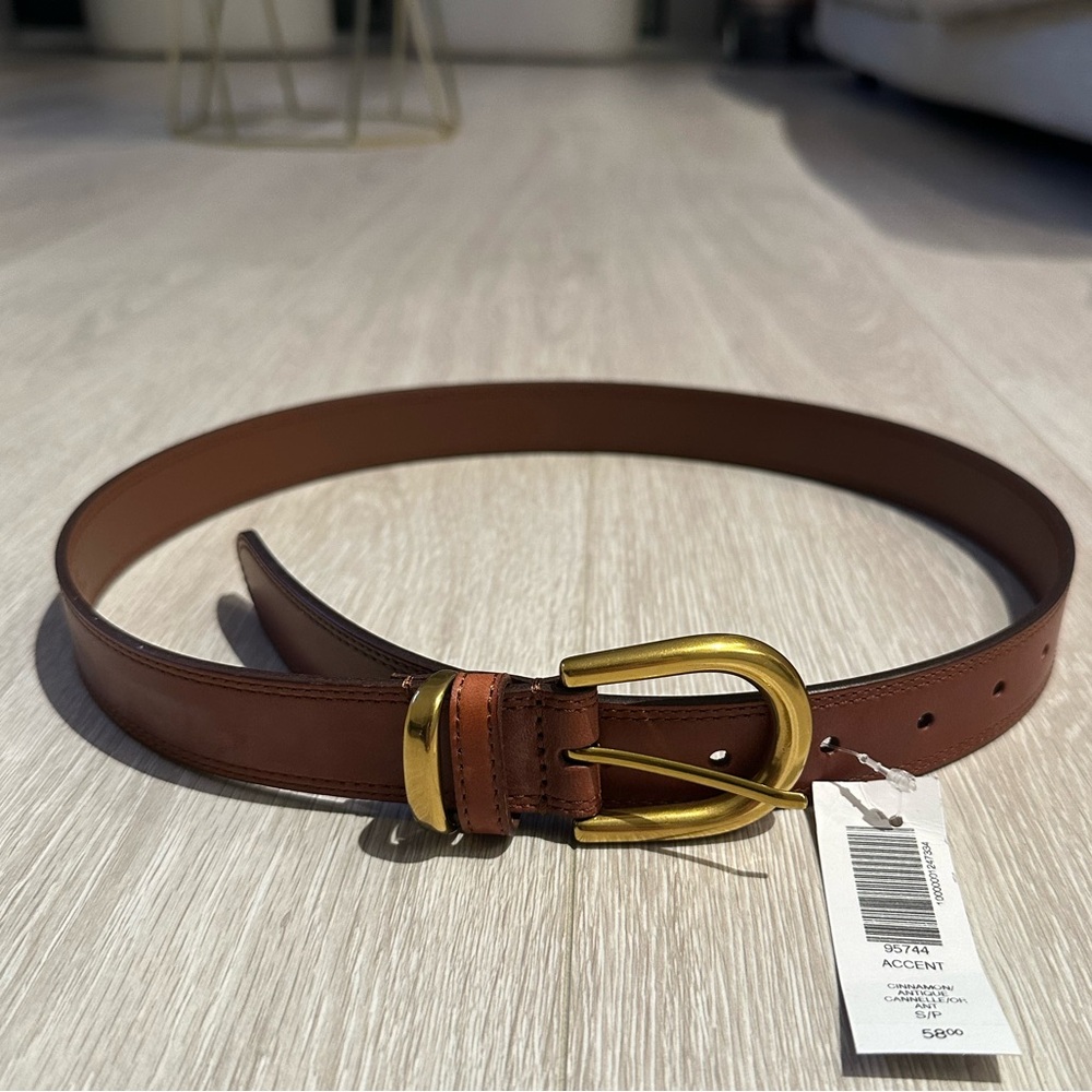 Aritzia Accent Solid Brass Leather Belt